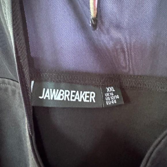 Black Mesh Mock Turtleneck Skater Dress - XXL - Picture 3 of 4